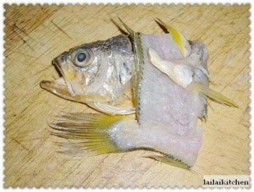 ѩ�˻����������