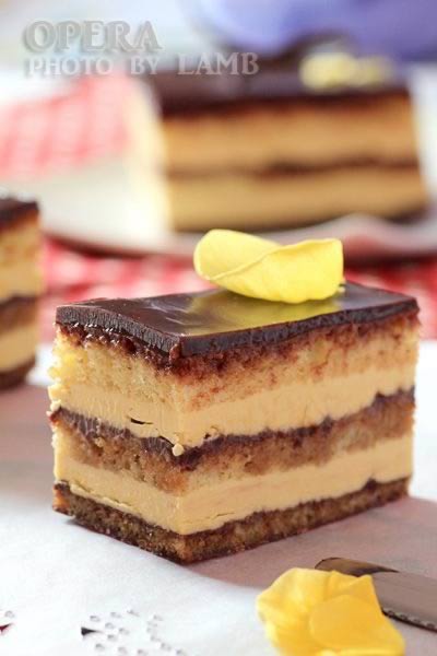 ���Ժ���������