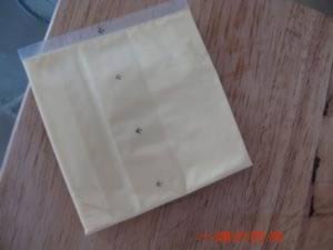 ֥ʿ����������