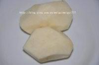 ������ը���������