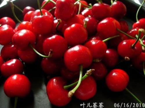 ӣ���ɵ�����