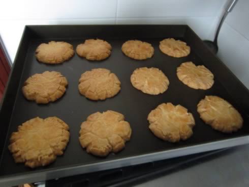 ȫ�����ֵ�����