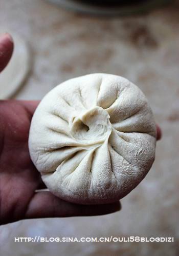 ɽ���Ʋ˰��ӵ�����