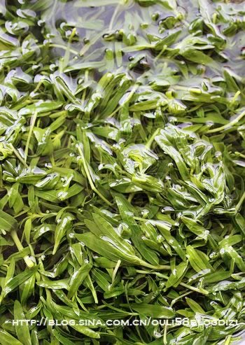 ɽ���Ʋ˰��ӵ�����