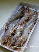 ��«�϶�Ϻ���ӵ�����