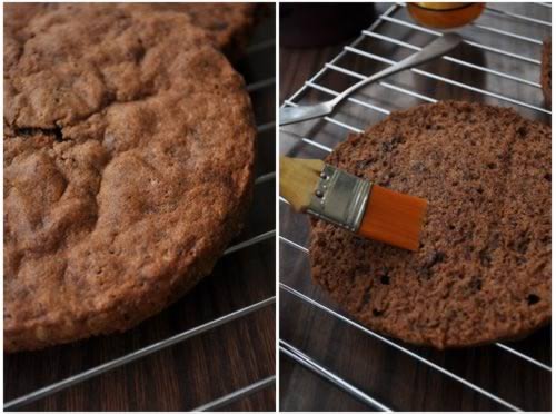 ����ɳ�����������