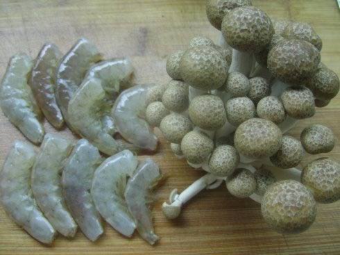 ����ţ��ȵ�����