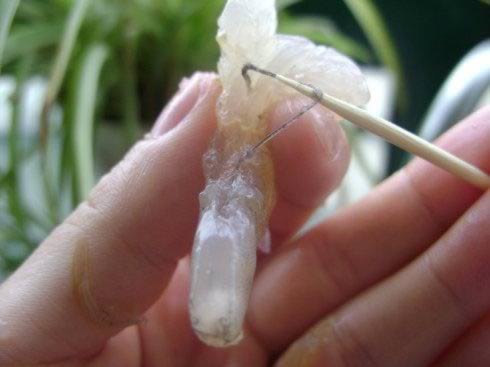 ����ţ��ȵ�����