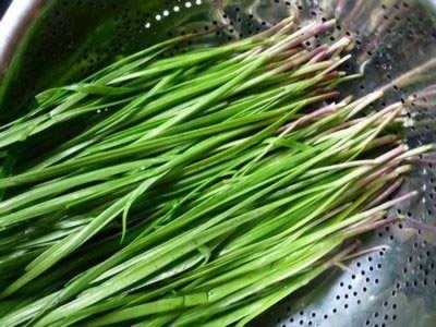 �²˼���ˮ�ȵ�����