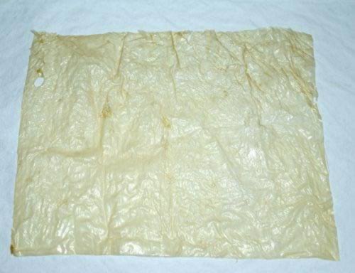 ��Ƥɽҩ����«��������