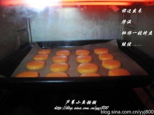 ��ɫ������������