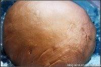 �ڰ�˫ɫС��ͷ������