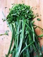 ����ɽҰ�˴��������