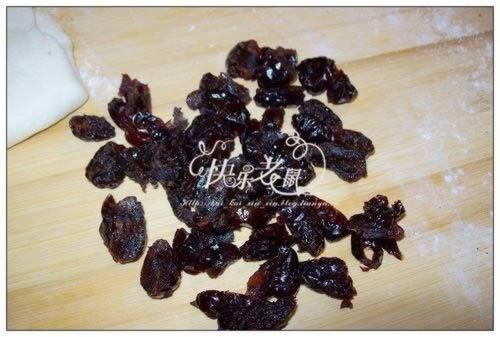 ���������뻨���̻���������