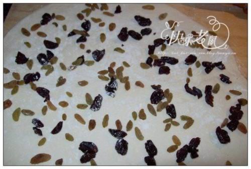 ���������뻨���̻���������