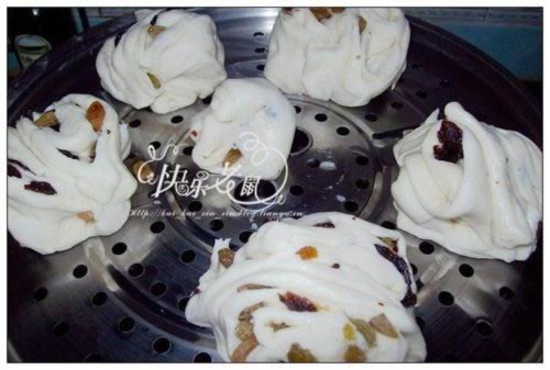 ���������뻨���̻���������