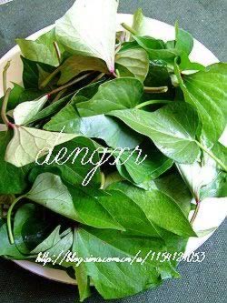 ���㶹����������