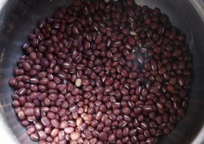 ������������ڱ��Ͷ�ɳ�ڱ�������