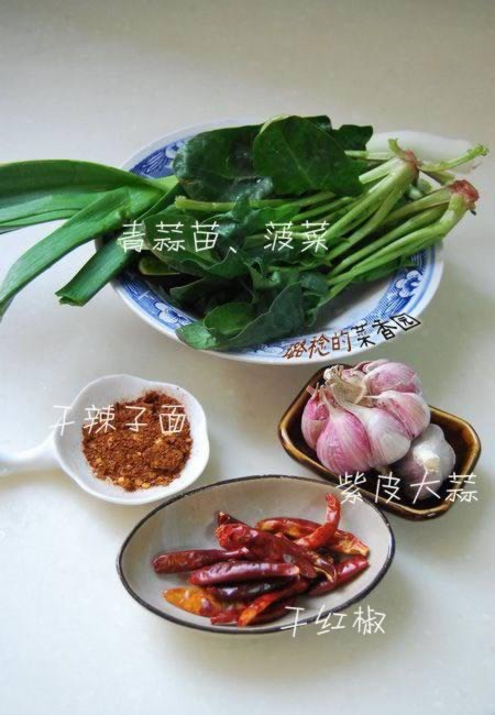 ������պ�������