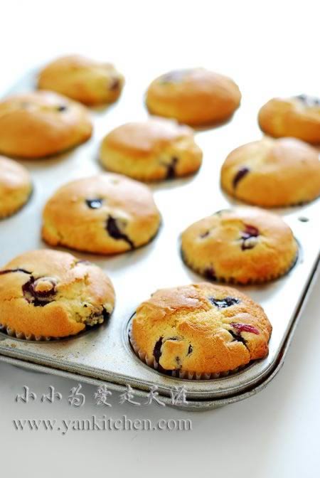 ��ݮ��ҵ�����