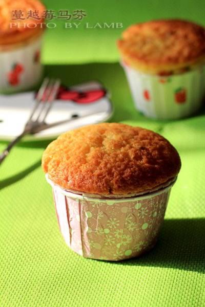 ��Խݮ���Ĺ����ҵ�����