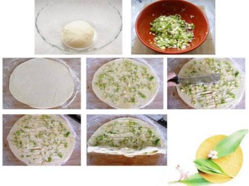 �л���ץ��������