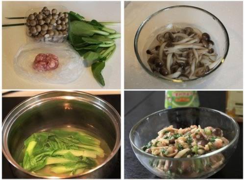 Ģ����������������