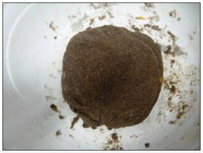 ������ͷ������