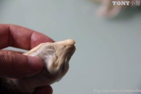 ƽ�׹�ǧ��֥���ձ�������