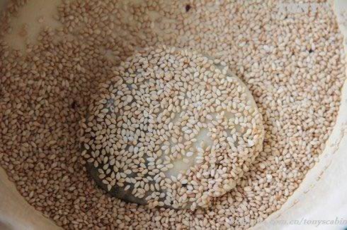 ƽ�׹�ǧ��֥���ձ�������