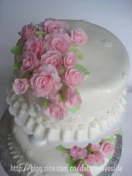 ˫����񵰸������