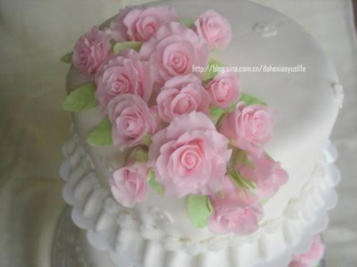 ˫����񵰸������