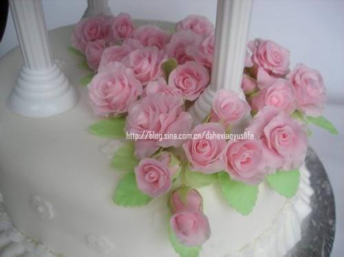 ˫����񵰸������