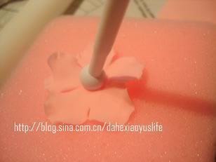 ˫����񵰸������