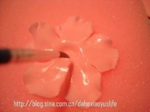 ˫����񵰸������