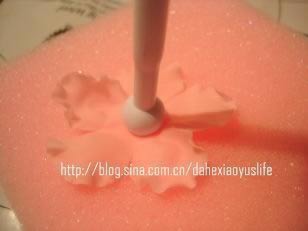 ˫����񵰸������