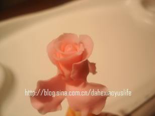 ˫����񵰸������