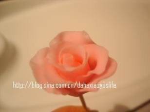 ˫����񵰸������