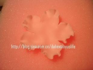 ˫����񵰸������