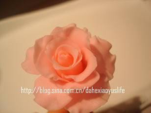 ˫����񵰸������