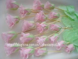 ˫����񵰸������