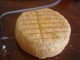 ˫����񵰸������