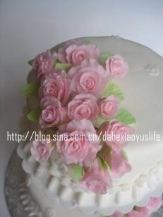 ˫����񵰸������