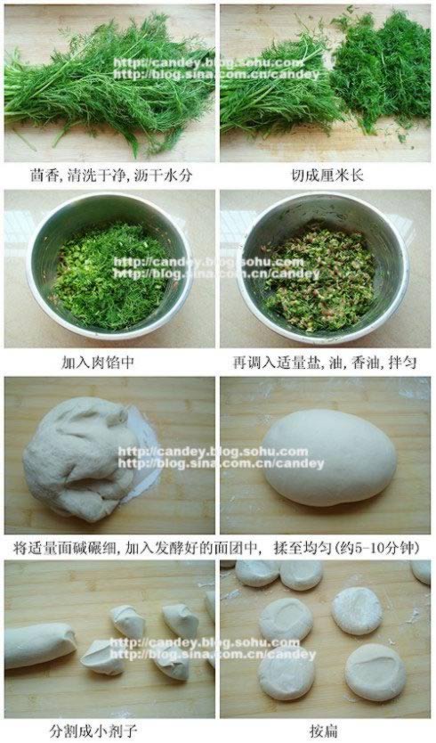 ������Ҷ��������