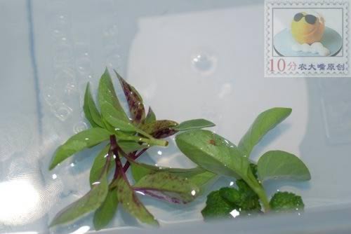 ������֭��ǹ��������������