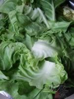 ͷ�˰��ӵ�����