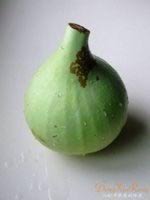 ��«��������ӵ�����