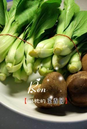 ����㹽��Ϻ�ȵ�����