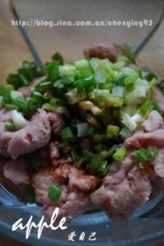 ������ӵ�����