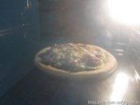 �ó��ֺ����ķ��Ʊ�ʤ��ƥ����������